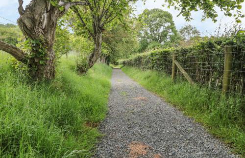 Dingle Den - Photo 16