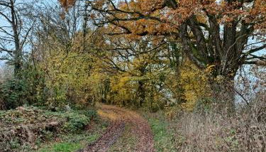 GITE Les Aubues - Foto 5