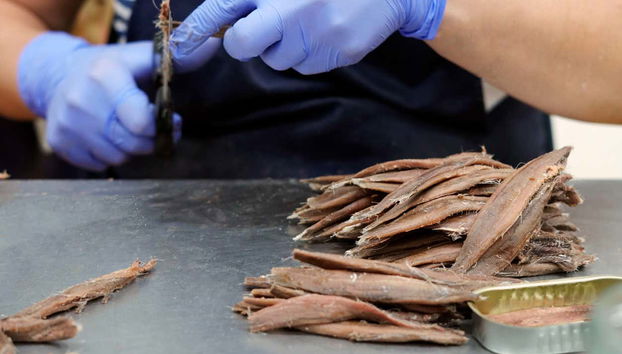Conociendo el proceso de limpiar la anchoa
