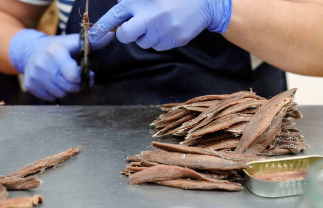 Visita a una fábrica de anchoas con degustación - Foto 2