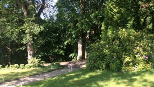 Etzauer Mühle im Taunus, Mensch-Zeit-Pferd - Foto 2, Garden view