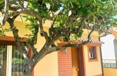 TOP BEACH HOUSE - Foto 12