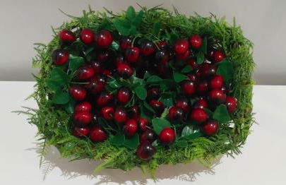 El Cantillo del Jerte - Foto 14