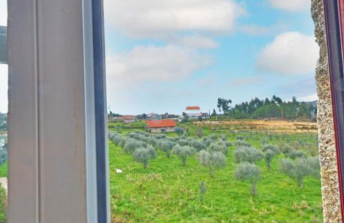 Casa De Vilar do Dão - Foto 24