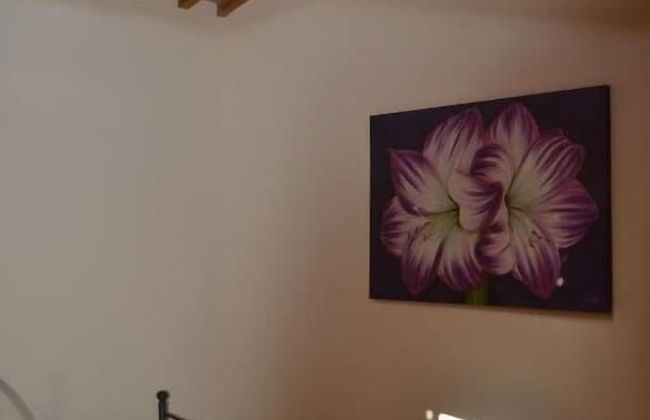 Antico Borgo Casalappi - Foto 28