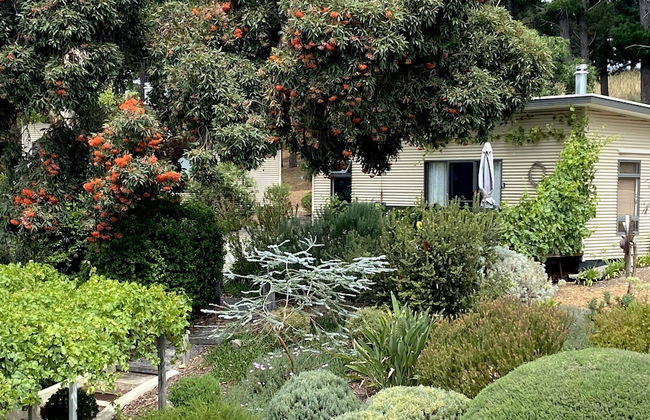 Karawatha Cottages B&B - Foto 49