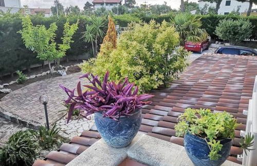 Villa Arenella - Foto 31