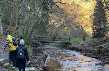 Charmante Ferienwohnung in Mastershausen/Hunsrück - Foto 17