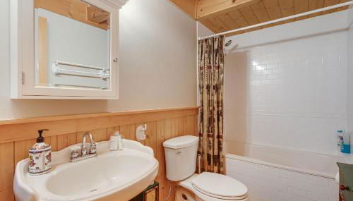 Lake Lure Oasis in the Woods w/ Hot Tub & More! - Foto 4