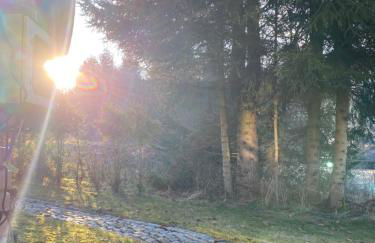 far away from Africa - Photo 11