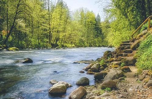 Dream Catcher Cabin - Meredith Lodging - Foto 24