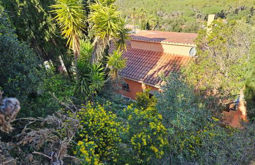 Montagne vue panoramique sur mer - Foto 31