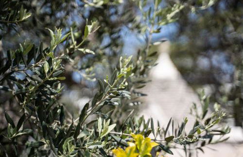 Trullo Leone - Foto 40