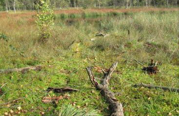 Stollenklause - Foto 62