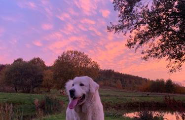 Rancho „Czajone na pigwowcu” - Foto 32