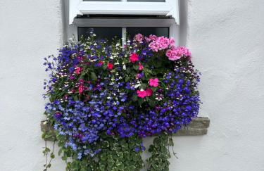 The Cottage at Ashbrook - Charming Country Cottage near Belfast - Foto 25