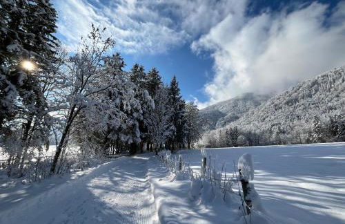 Haus Bergsteigerglück - Foto 46