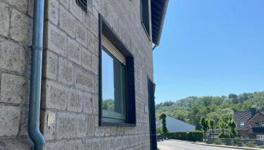 Holunder nah am Waldsee 2 - Foto 2