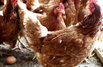 Agriturismo Il Raduno - Foto 120