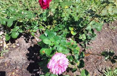 Great place for 6 to Relax - Foto 46