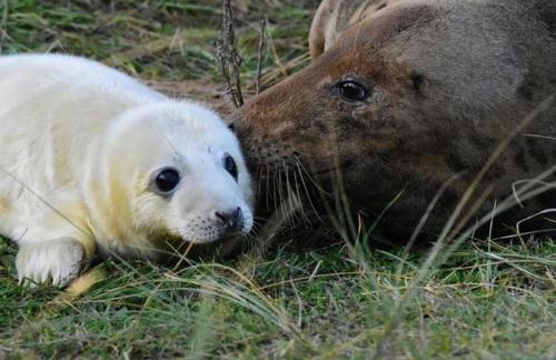 Wolds View - Foto 10