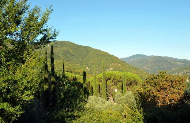 Agriturismo Poggio di Montepescoli - Il Ciliegio - Foto 33