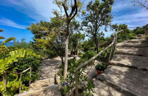 Vinya del mar - Foto 33