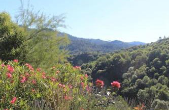 L'abri cévenol - Foto 19