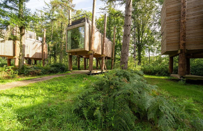 Treehouse in Tournai With Sauna and Terrace - Photo 24