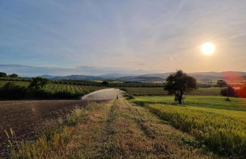 Agriturismo Essentia dimora rurale - Foto 131