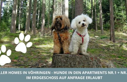 Iller Homes - 5 x Moderne Fewos je 1bis2 oder 1bis4 Pers mit Küche u Balkon - Parkplätze vorhanden - Foto 68