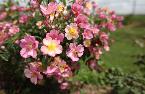 Agriturismo Casa Fiorindo - Foto 24