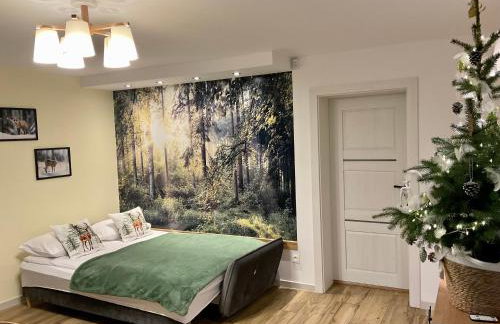 Domek Koziołek przy szlaku, Szyndzielnia, Klimczok, Szczyrk, Bania - Foto 8