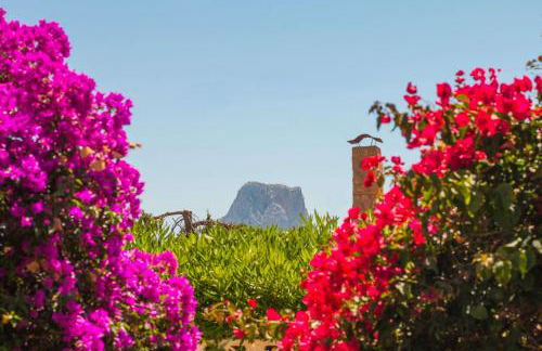 Villa Erik - PlusHolidays - Foto 5