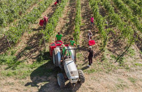 Il Querciolo - Azienda biologica, Agriturismo e Cantina - Photo 41