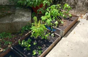 Fran Opatija - Photo 19