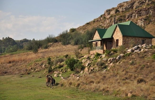 Field and Stream - Foto 1