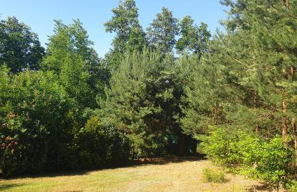 domki nad jeziorem, las, do 10 osób jezioro Wilczyńskie Budzisławskie - domek letniskowy osobno ogrodzony, ogrzewany mile widziane pieski, zwierzeta- wielkopolska, 62-550 Zygmuntowo gm Wilczyn - Photo 20