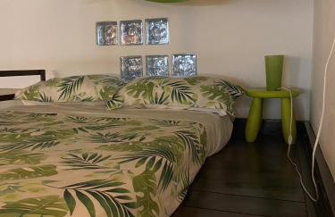 Cactus 31 - Foto 12