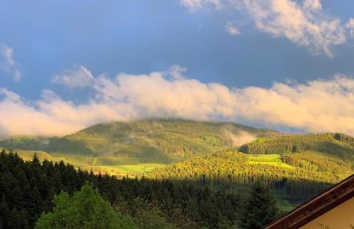 Black Forest Brandenkopfblick - Foto 8