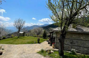 Παραδοσιακή πέτρινη κατοικία στην Βλάχα Ελάτης - Foto 3