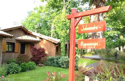 Salamandre et Hippocampe - Foto 1