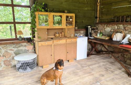 Agroturystyka „Między Polami” - Foto 30