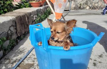 Casa vacanza zia Ersilia - Foto 75