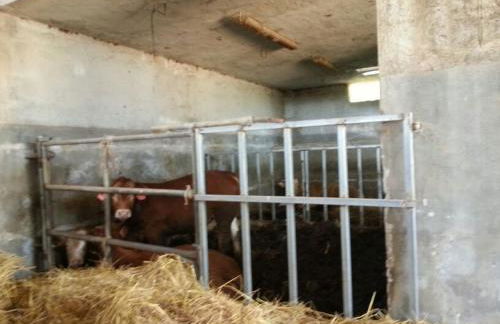 Azienda Agrituristica B&B La Torre - Photo 40