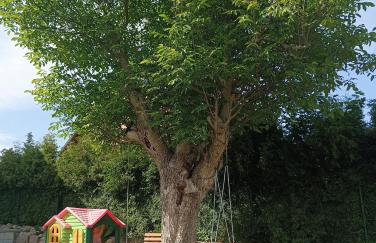 Wczasy Chmielno Apartament Turkusowy - Foto 10