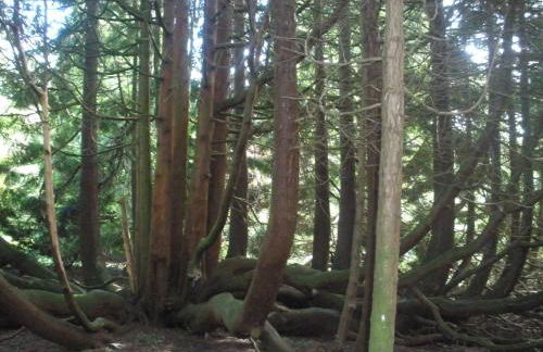 Lastingham Grange - Foto 72