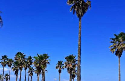 La Llar de la Font - Foto 13