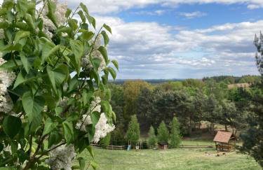 Widokówka - Foto 61