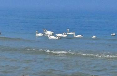 Apartamenty nad morzem Przy klifie 3 Dębina - Foto 73